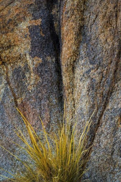 California, Alabama Hills Rock face and grass